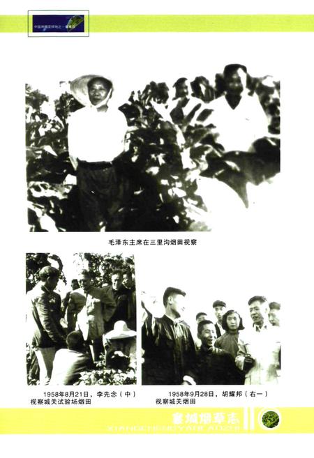 《襄城烟草志(1998~2007)》.pdf电子版_河南省志插图3