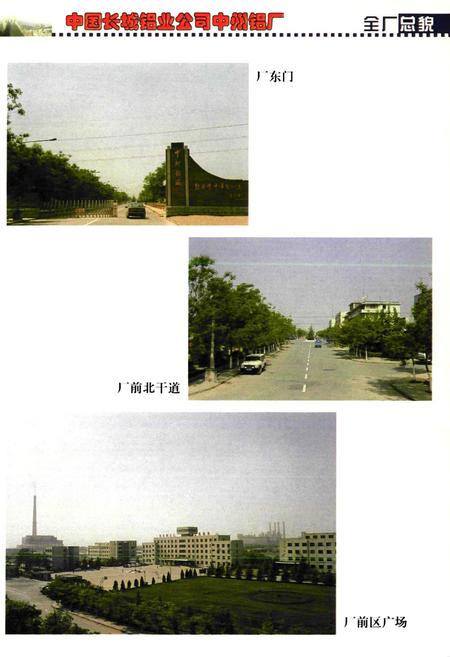 《中州铝厂志(1978-1998)》.pdf电子版_河南省志预览图4