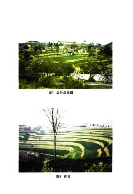 《探马庄村志》.pdf电子版_河南省志插图4 《探马庄村志》.pdf电子版_河南省志插图4