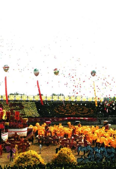 《开封菊花志》.pdf电子版_河南省志插图1