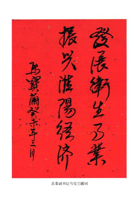 《淮阳县卫生志(1983-2002)》.pdf电子版_河南省志插图5 《淮阳县卫生志(1983-2002)》.pdf电子版_河南省志插图5