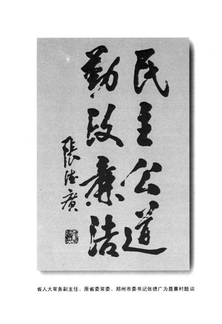 《聂寨村志》.pdf电子版_河南省志插图3