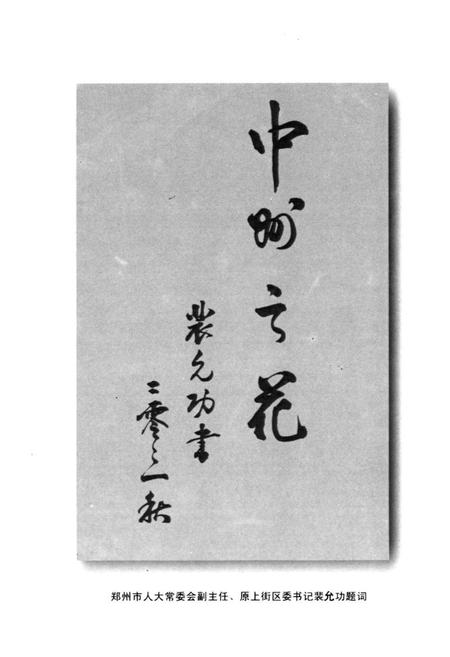 《聂寨村志》.pdf电子版_河南省志插图5