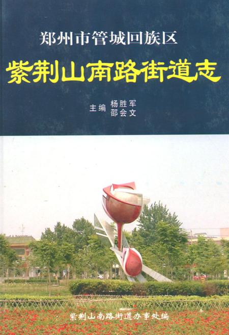 《紫荆山南路街道志》.pdf电子版_河南省志