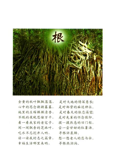 《郑营村志》.pdf电子版_河南省志插图4