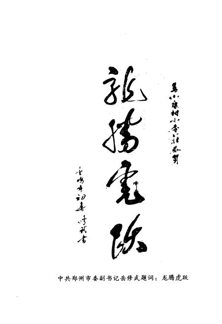 《小李庄村志》.pdf电子版_河南省志预览图3