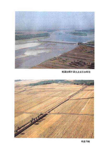 《鸭河口灌区志》.pdf电子版_河南省志插图3
