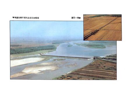 《鸭河口灌区志》.pdf电子版_河南省志插图4