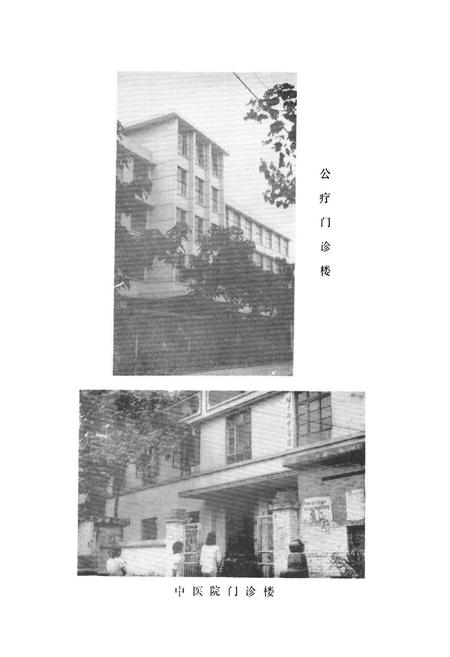 《镇平县卫生志》.pdf电子版_河南省志插图4