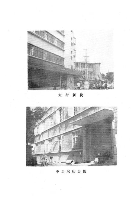 《镇平县卫生志》.pdf电子版_河南省志插图5