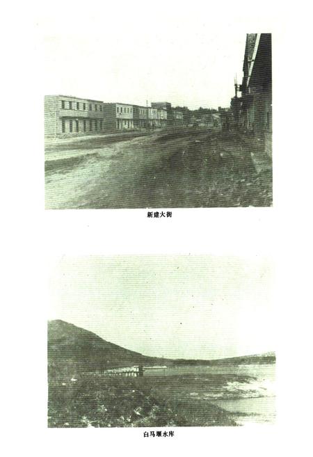 《湖阳镇志》.pdf电子版_河南省志预览图3