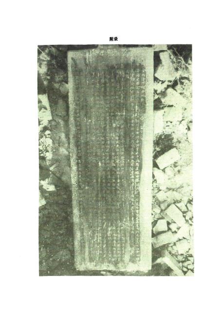 《湖阳镇志》.pdf电子版_河南省志预览图5