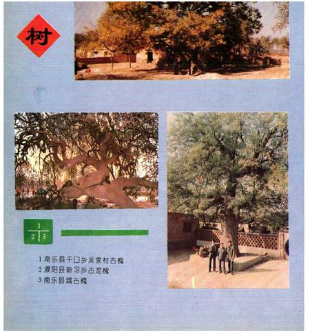《濮阳植物志》.pdf电子版_河南省志预览图3 《濮阳植物志》.pdf电子版_河南省志预览图3