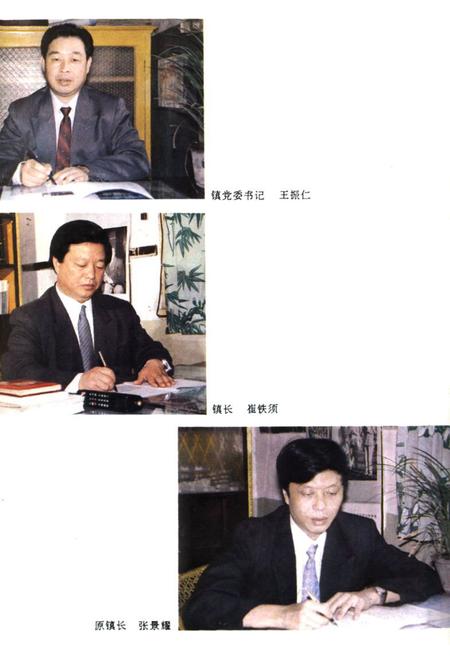 《大冶镇志》.pdf电子版_河南省志插图5 《大冶镇志》.pdf电子版_河南省志插图5