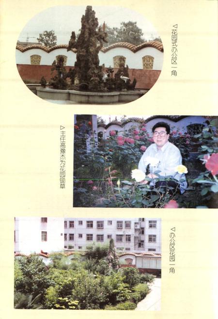 《周口市城市信用社志》.pdf电子版_河南省志插图5