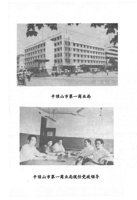 《《平顶山市工业品商业志》(1955-1990)》.pdf电子版_河南省志插图5