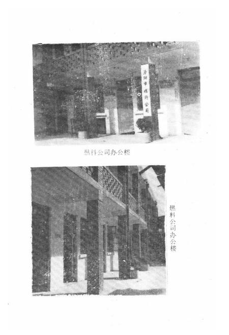 《《燃料公司志(1979-1984)》》.pdf电子版_河南省志插图4