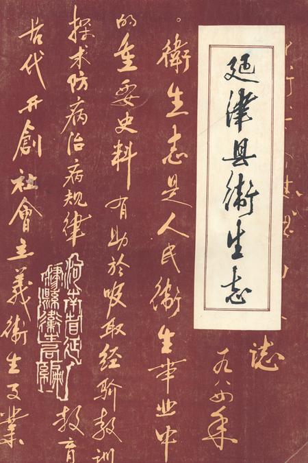 《《延津县卫生志》》.pdf电子版_河南省志