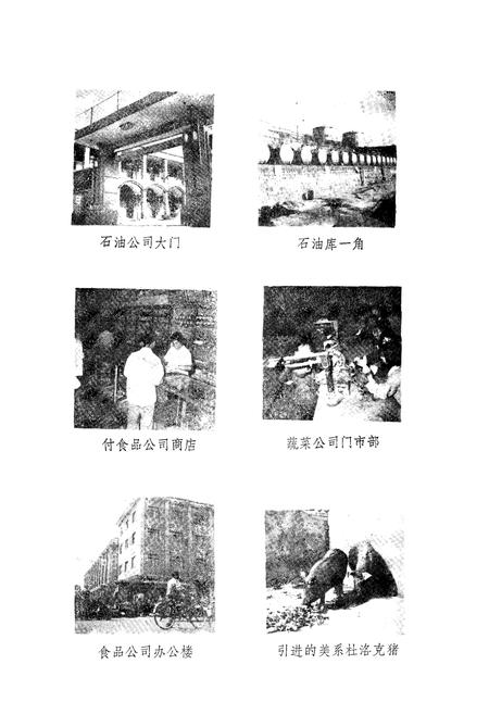 《《新安县商业志》》.pdf电子版_河南省志插图4