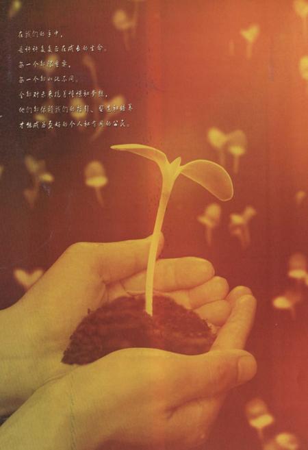 《郑州市第十九中学校志》.pdf电子版_河南省志插图5 《郑州市第十九中学校志》.pdf电子版_河南省志插图5