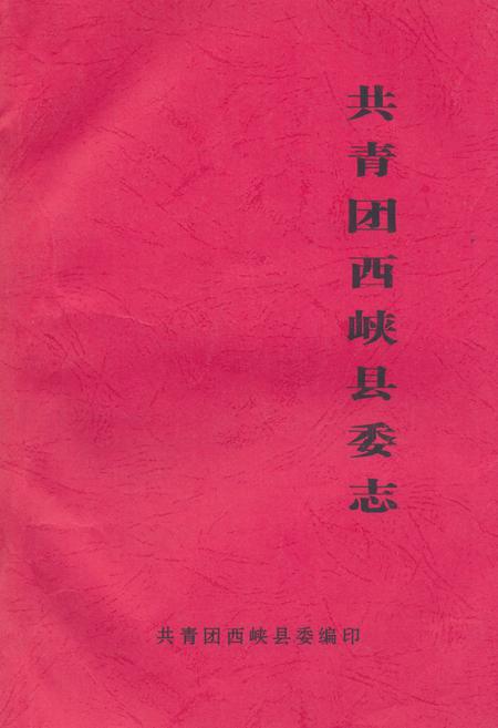 《共青团西峡县委志》.pdf电子版_河南省志缩略图