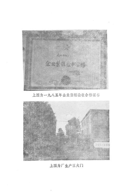 《南阳肉联厂志》.pdf电子版_河南省志预览图5