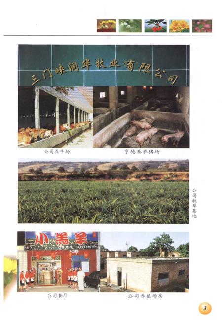 《《尚家湾村志》》.pdf电子版_河南省志预览图5 《《尚家湾村志》》.pdf电子版_河南省志预览图5