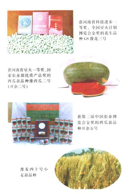 《《开封农林科研所志(1958-1996)》》.pdf电子版_河南省志插图4