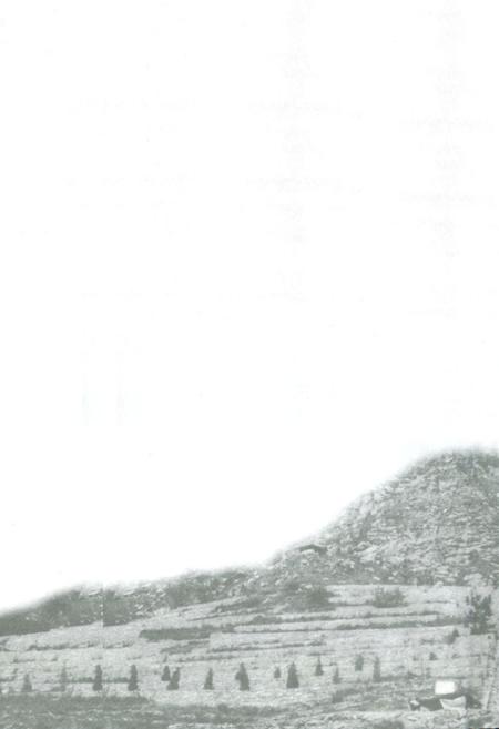 《《始祖山八千年文化史志》》.pdf电子版_河南省志插图1