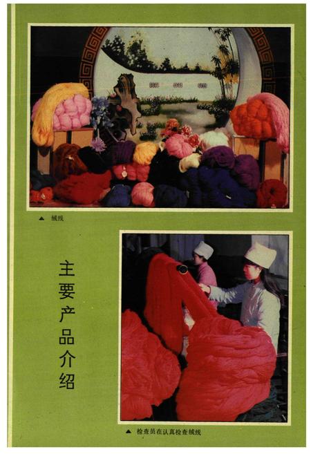 《开封毛纺织总厂志(1955-1985)》.pdf电子版_河南省志预览图4