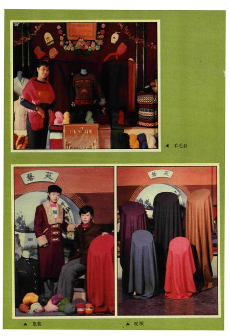 《开封毛纺织总厂志(1955-1985)》.pdf电子版_河南省志预览图5