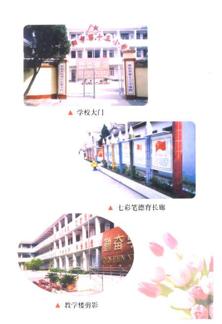 《南阳市第十三小学校志(1951-2000)》.pdf电子版_河南省志插图3