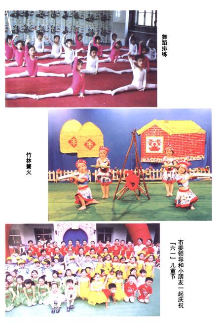 《郑州市实验幼儿园(园志)1958-2002》.pdf电子版_河南省志插图4