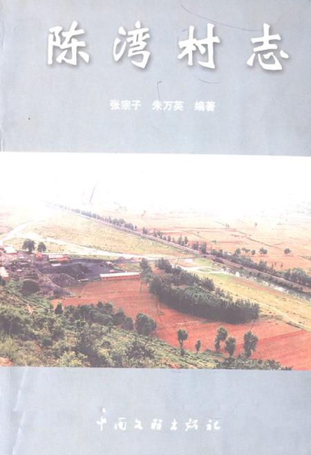 《《陈湾村志》》.pdf电子版_河南省志