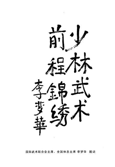 《中国嵩山少林寺武术学校志(1980~2000)》.pdf电子版_河南省志预览图4