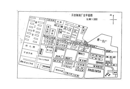 《开封制药厂志(1949-1982)》.pdf电子版_河南省志预览图3
