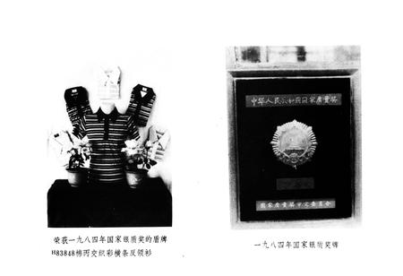 《安阳内衣厂厂志(1928-1985)》.pdf电子版_河南省志插图4