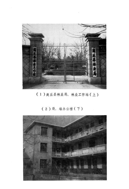 《商丘县林业志》.pdf电子版_河南省志插图5