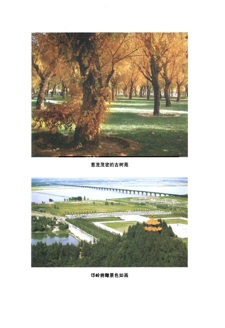 《郑州林业志·市区卷(1978-2008)》.pdf电子版_河南省志预览图3