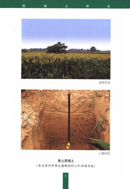 《郑州土种志》.pdf电子版_河南省志插图2