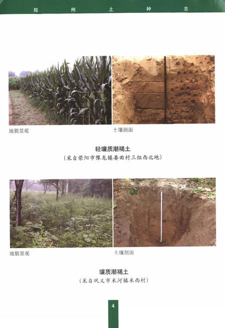 《郑州土种志》.pdf电子版_河南省志插图5