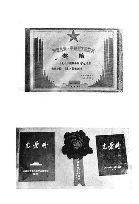 《四川省温县粮食局局志》.pdf电子版_河南省志预览图3