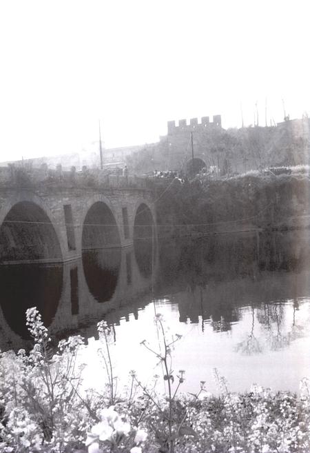 《河南省汝南县第二高级中学百年校志(1905-2005)》.pdf电子版_河南省志插图4