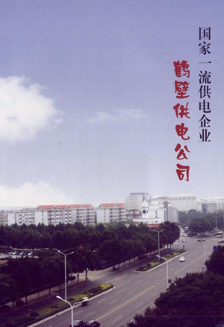 《鹤壁供电志(2006-2010)》.pdf电子版_河南省志插图3