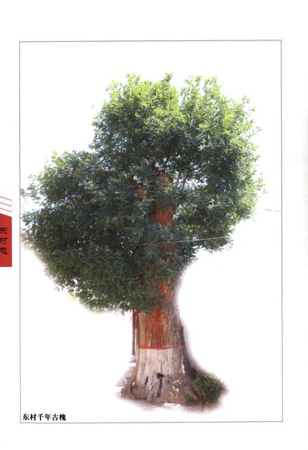 《东村志》.pdf电子版_河南省志插图3