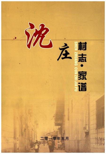 《沈庄村志·家谱》.pdf电子版_河南省志