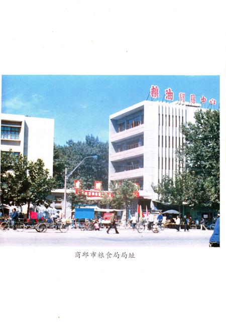 《商丘市粮食志》.pdf电子版_河南省志插图3