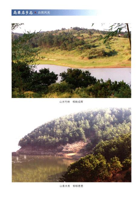 《信阳市平桥区高梁店乡志(1506-2012)》.pdf电子版_河南省志插图4