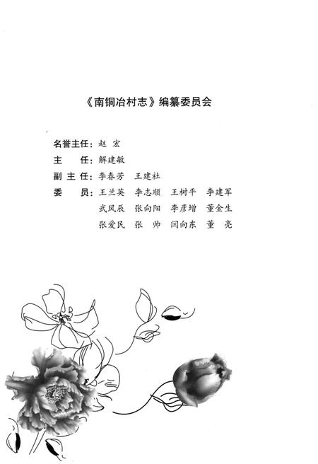 《南铜冶村志》.pdf电子版_河南省志插图3