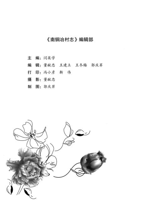 《南铜冶村志》.pdf电子版_河南省志插图4